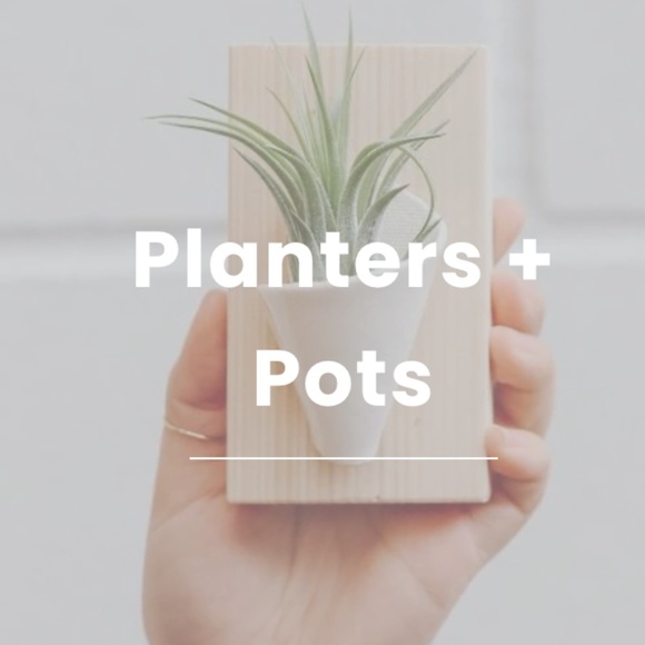 Mini Ceramic Wall Planter in Mint Green and White, mounted on wood plaque - Picture 9 of 10